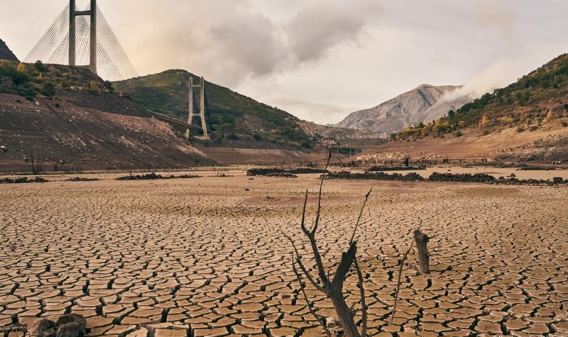 A new drought decree is set to be approved by the Junta de Andalucía.